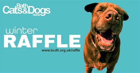 dogs trust winter raffle 2022.